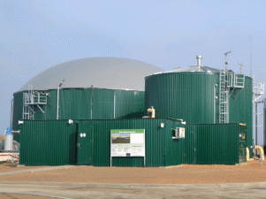 Биогазовые установки на отходах свиноферм